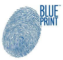 Blue print ADN12256